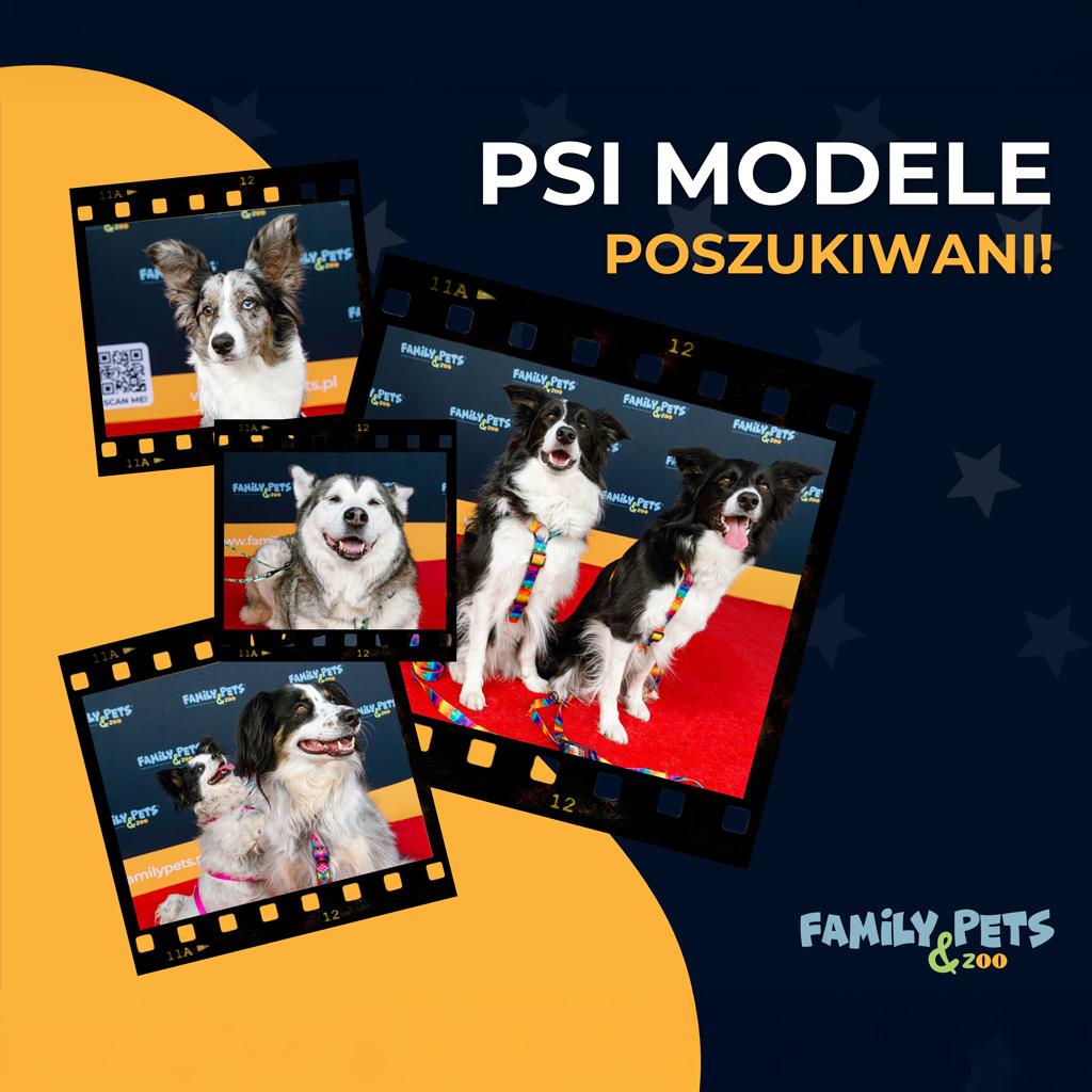 psi_model